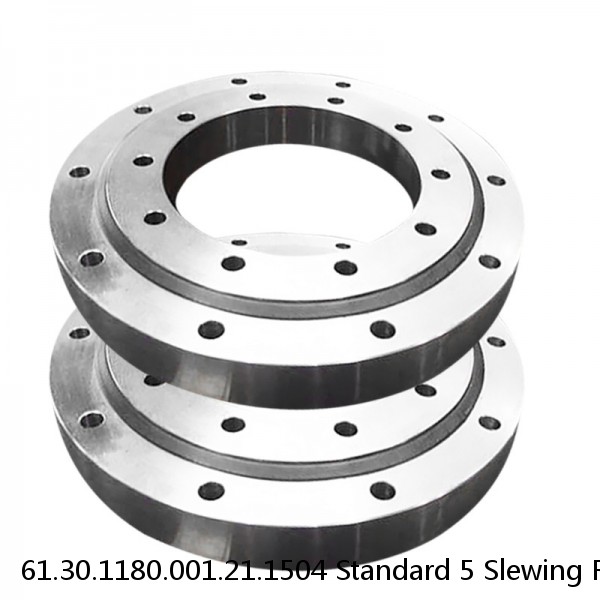 61.30.1180.001.21.1504 Standard 5 Slewing Ring Bearings