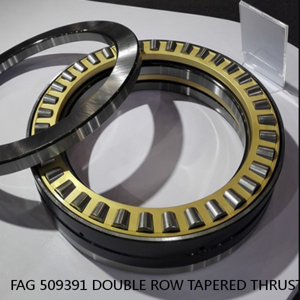 FAG 509391 DOUBLE ROW TAPERED THRUST ROLLER BEARINGS