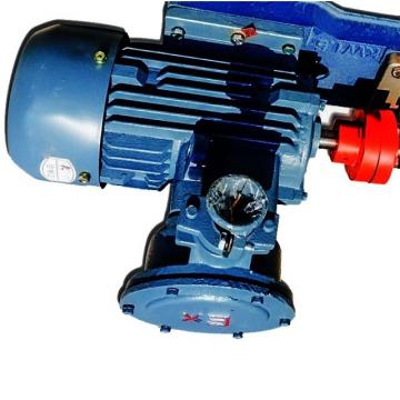 Daikin V15A2LX-95 piston pump