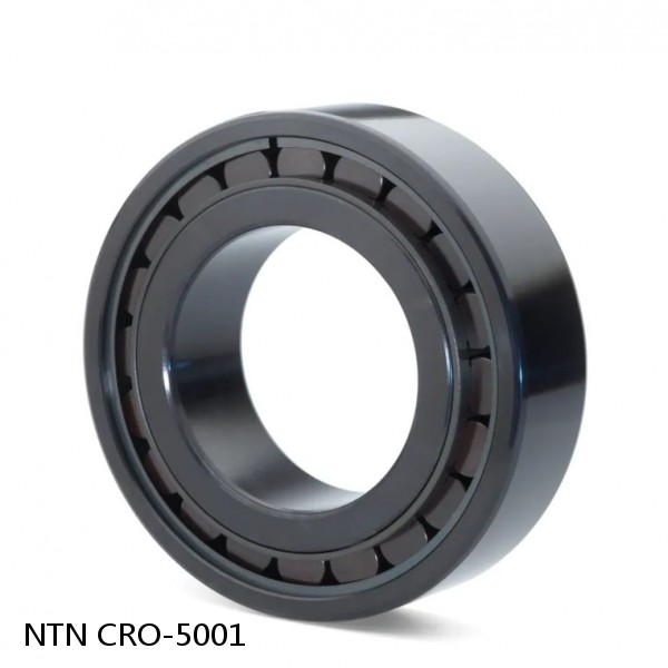 CRO-5001 NTN Cylindrical Roller Bearing