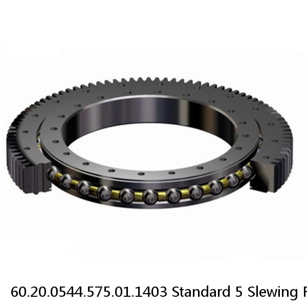 60.20.0544.575.01.1403 Standard 5 Slewing Ring Bearings