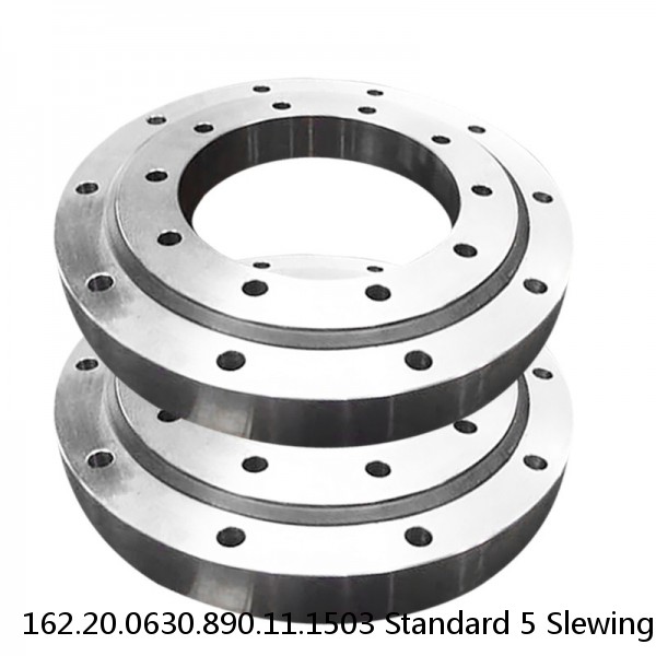 162.20.0630.890.11.1503 Standard 5 Slewing Ring Bearings