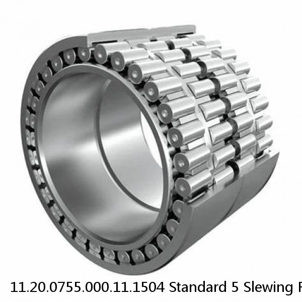 11.20.0755.000.11.1504 Standard 5 Slewing Ring Bearings