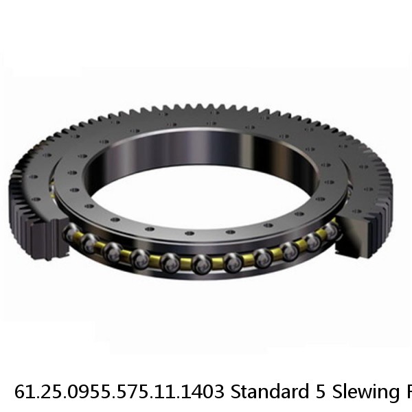 61.25.0955.575.11.1403 Standard 5 Slewing Ring Bearings