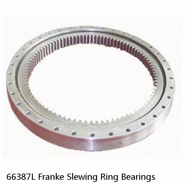 66387L Franke Slewing Ring Bearings