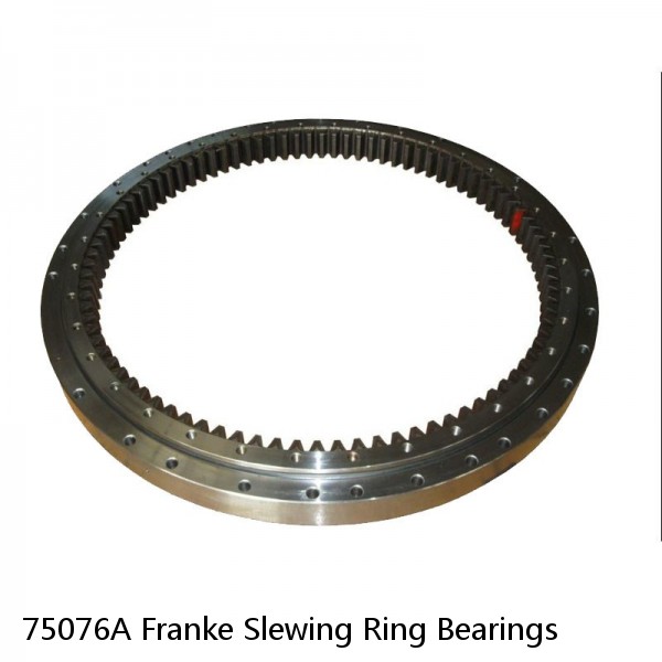 75076A Franke Slewing Ring Bearings