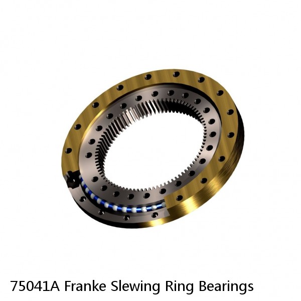 75041A Franke Slewing Ring Bearings