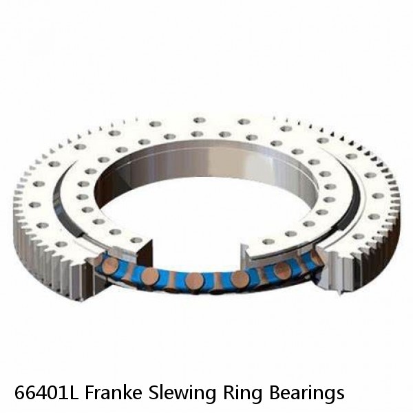 66401L Franke Slewing Ring Bearings