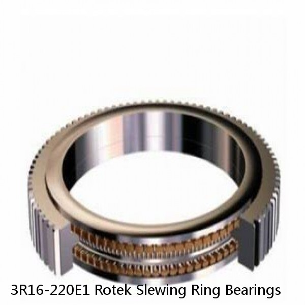 3R16-220E1 Rotek Slewing Ring Bearings