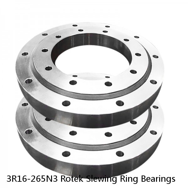 3R16-265N3 Rotek Slewing Ring Bearings