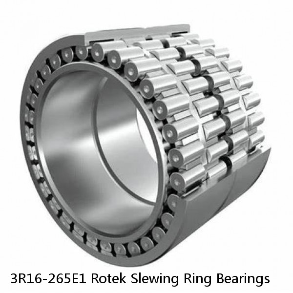 3R16-265E1 Rotek Slewing Ring Bearings