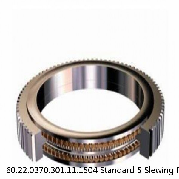 60.22.0370.301.11.1504 Standard 5 Slewing Ring Bearings