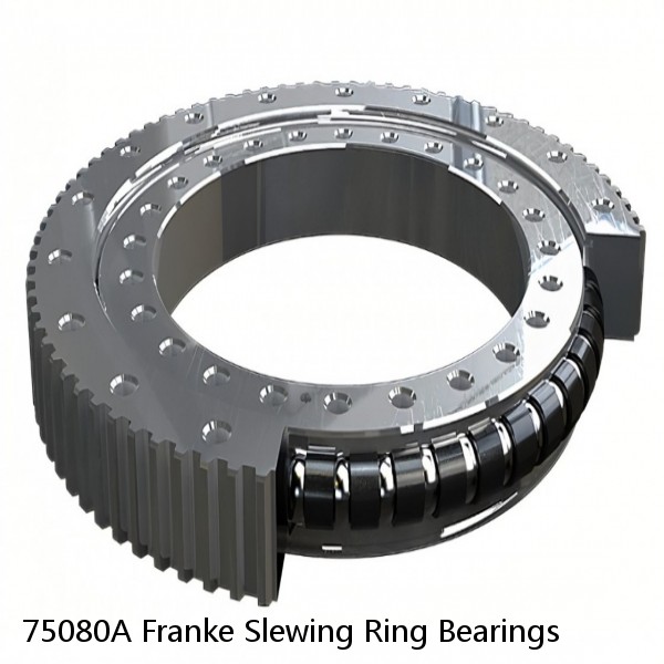 75080A Franke Slewing Ring Bearings