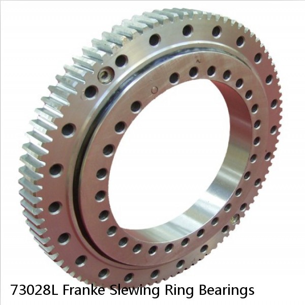 73028L Franke Slewing Ring Bearings