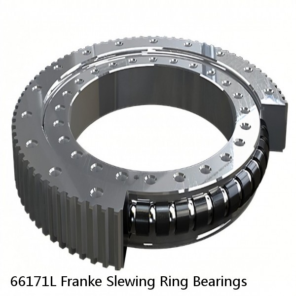 66171L Franke Slewing Ring Bearings