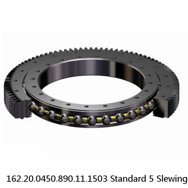 162.20.0450.890.11.1503 Standard 5 Slewing Ring Bearings