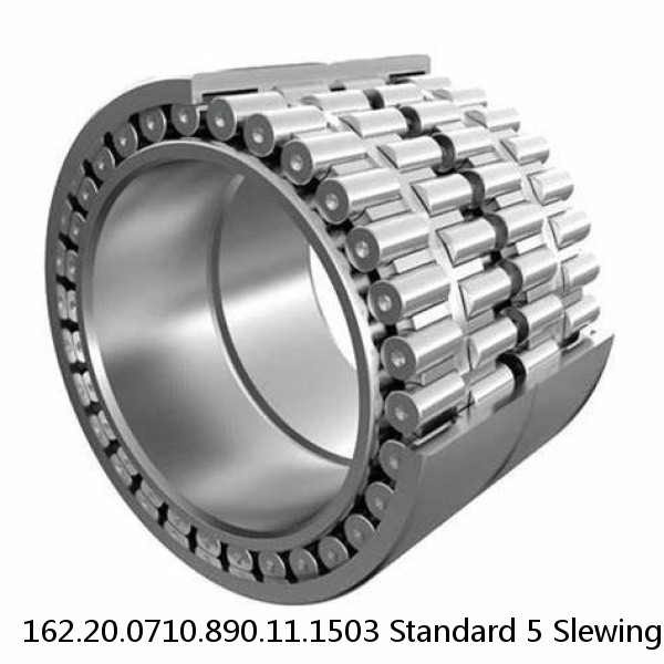 162.20.0710.890.11.1503 Standard 5 Slewing Ring Bearings