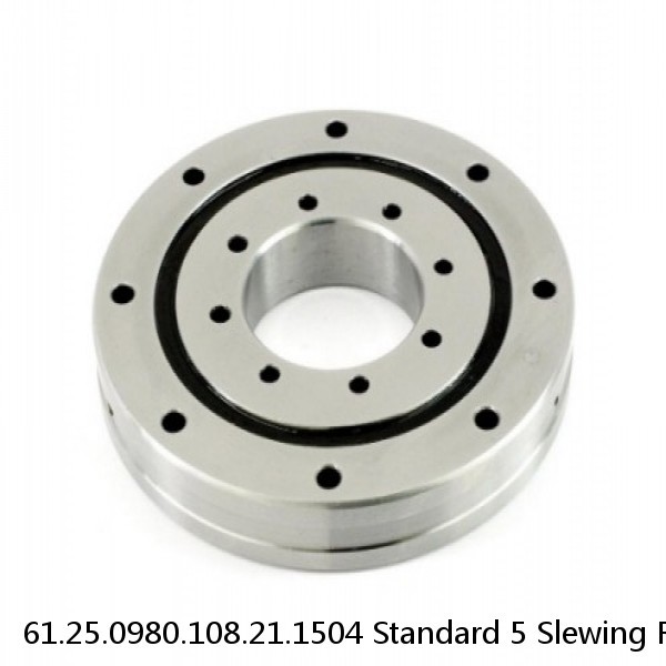 61.25.0980.108.21.1504 Standard 5 Slewing Ring Bearings