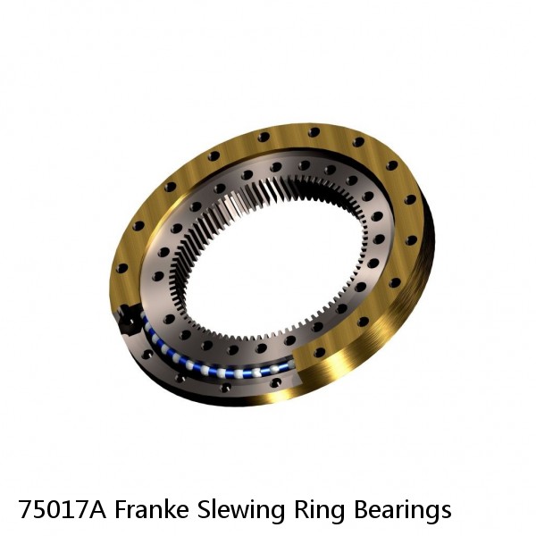 75017A Franke Slewing Ring Bearings