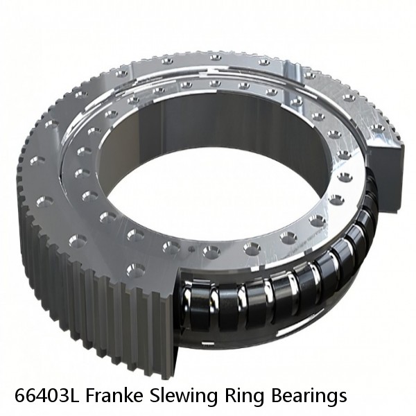 66403L Franke Slewing Ring Bearings