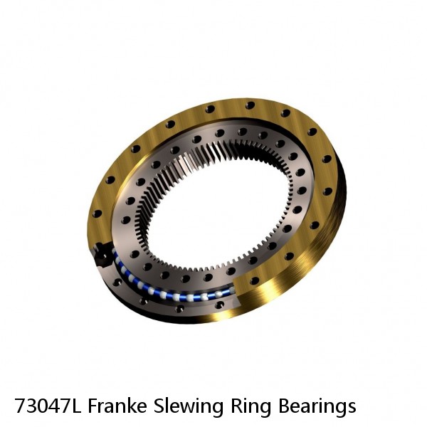 73047L Franke Slewing Ring Bearings