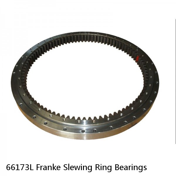 66173L Franke Slewing Ring Bearings