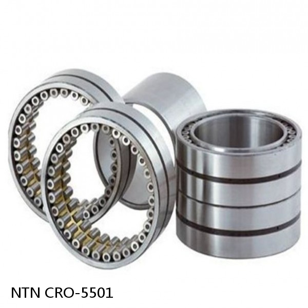 CRO-5501 NTN Cylindrical Roller Bearing